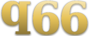 q66 logo